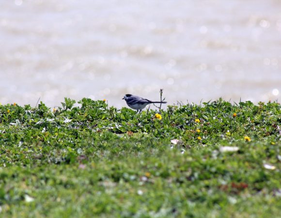 IMG_0201