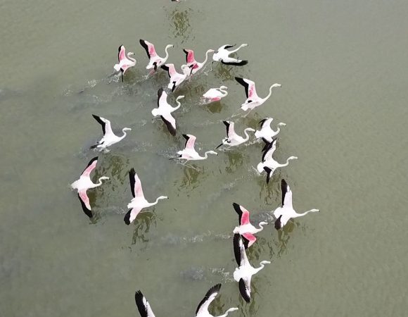 Untitled-2